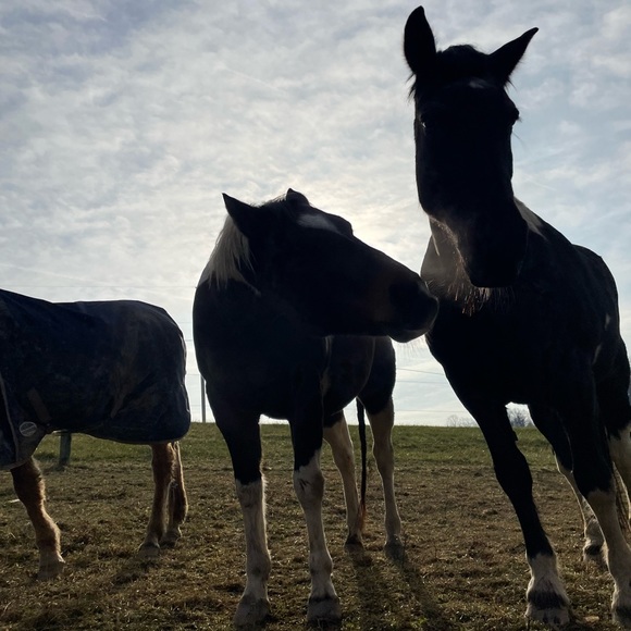 Meet your Posher, Jenny - Picture 11 of 17